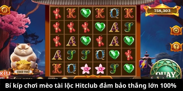 Bí kíp chơi mèo tài lộc Hitclub đảm bảo thắng lớn 100%