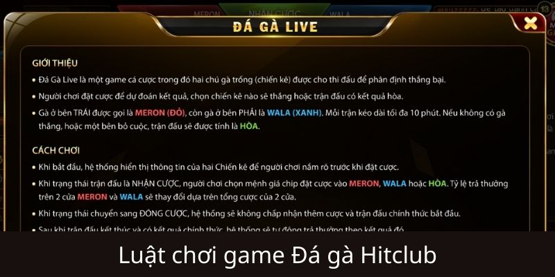 Tại sao Đá Gà Live Hitclub thu hút lượng lớn người chơi?